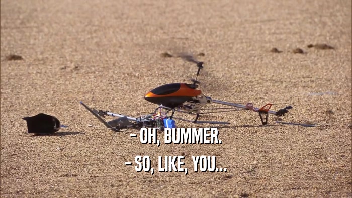 - OH, BUMMER. - SO, LIKE, YOU... 