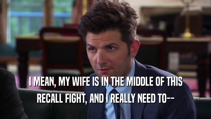 I MEAN, MY WIFE IS IN THE MIDDLE OF THIS RECALL FIGHT, AND I REALLY NEED TO-- 