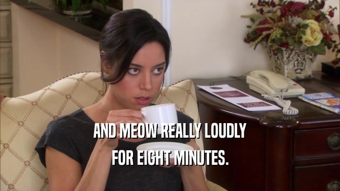 AND MEOW REALLY LOUDLY FOR EIGHT MINUTES. 