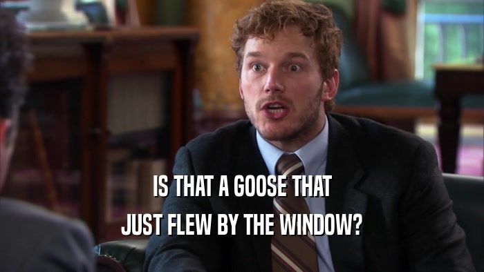 IS THAT A GOOSE THAT JUST FLEW BY THE WINDOW? 