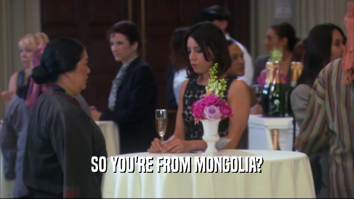SO YOU'RE FROM MONGOLIA?  