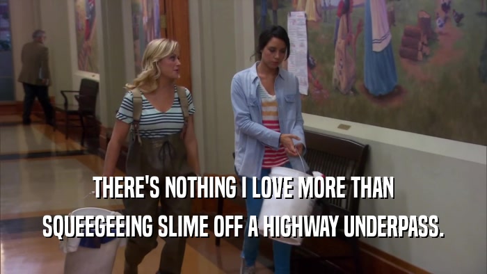 THERE'S NOTHING I LOVE MORE THAN SQUEEGEEING SLIME OFF A HIGHWAY UNDERPASS. 