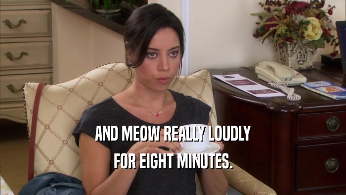 AND MEOW REALLY LOUDLY FOR EIGHT MINUTES. 