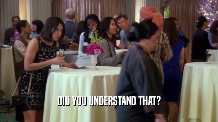 DID YOU UNDERSTAND THAT?  