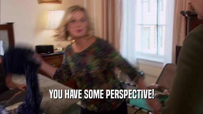 YOU HAVE SOME PERSPECTIVE!  