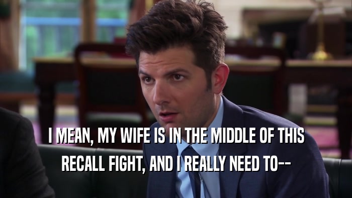 I MEAN, MY WIFE IS IN THE MIDDLE OF THIS RECALL FIGHT, AND I REALLY NEED TO-- 