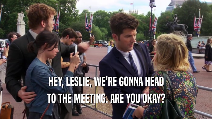 HEY, LESLIE, WE'RE GONNA HEAD TO THE MEETING. ARE YOU OKAY? 