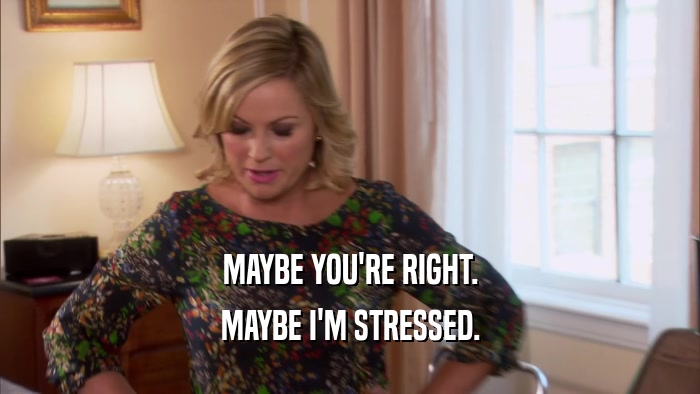 MAYBE YOU'RE RIGHT. MAYBE I'M STRESSED. 