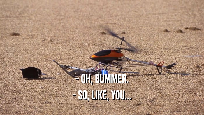- OH, BUMMER. - SO, LIKE, YOU... 