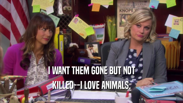 I WANT THEM GONE BUT NOT KILLED--I LOVE ANIMALS. 