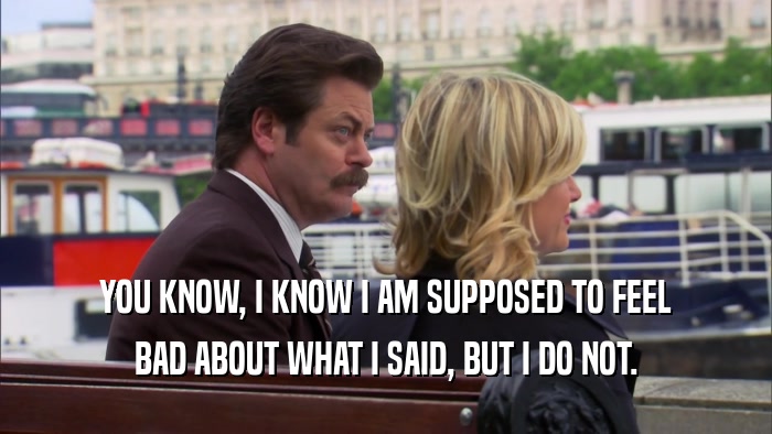 YOU KNOW, I KNOW I AM SUPPOSED TO FEEL BAD ABOUT WHAT I SAID, BUT I DO NOT. 