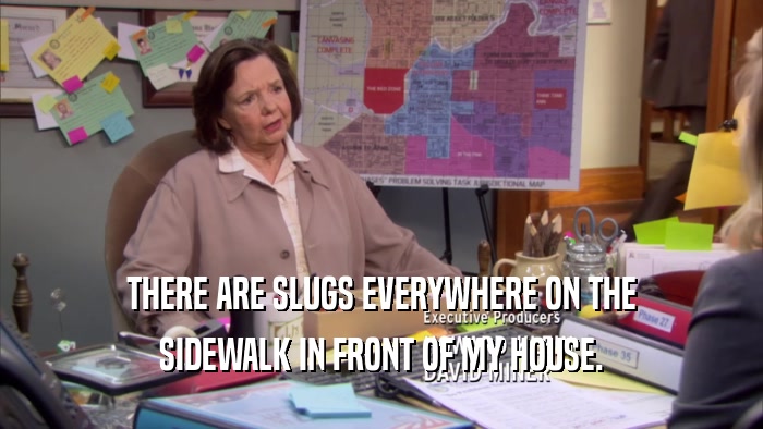 THERE ARE SLUGS EVERYWHERE ON THE SIDEWALK IN FRONT OF MY HOUSE. 