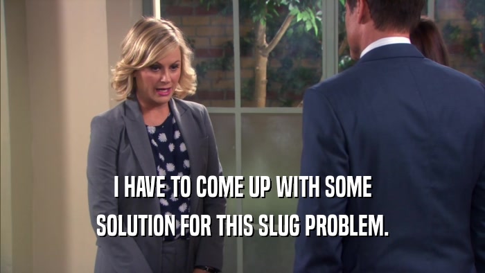 I HAVE TO COME UP WITH SOME SOLUTION FOR THIS SLUG PROBLEM. 
