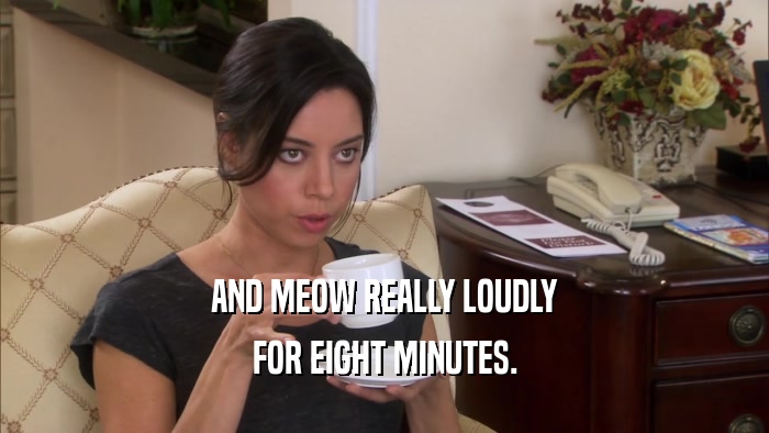 AND MEOW REALLY LOUDLY FOR EIGHT MINUTES. 