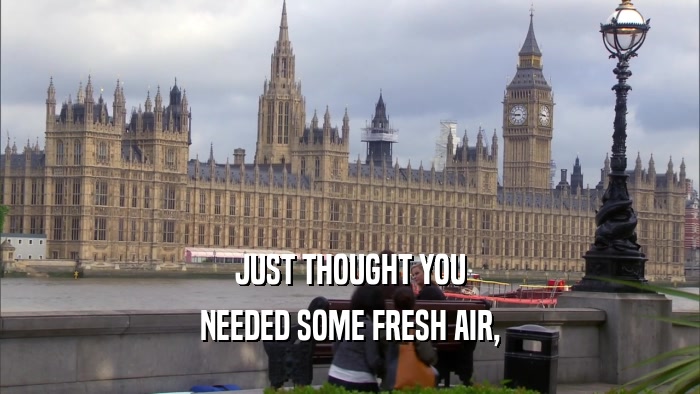 JUST THOUGHT YOU NEEDED SOME FRESH AIR, 