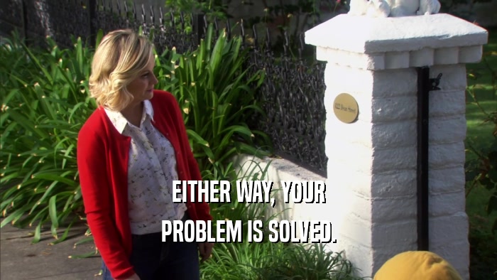 EITHER WAY, YOUR PROBLEM IS SOLVED. 