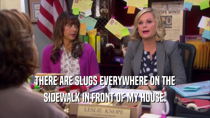 THERE ARE SLUGS EVERYWHERE ON THE SIDEWALK IN FRONT OF MY HOUSE. 