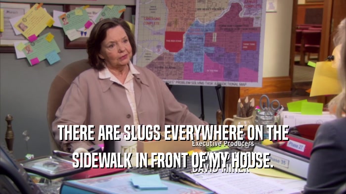 THERE ARE SLUGS EVERYWHERE ON THE SIDEWALK IN FRONT OF MY HOUSE. 