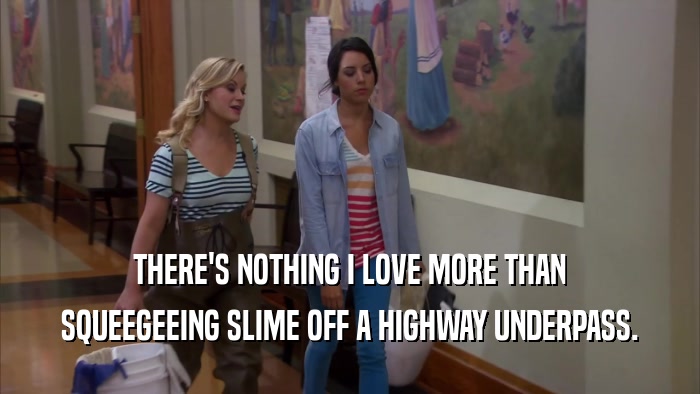 THERE'S NOTHING I LOVE MORE THAN SQUEEGEEING SLIME OFF A HIGHWAY UNDERPASS. 