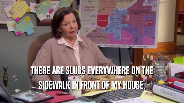 THERE ARE SLUGS EVERYWHERE ON THE SIDEWALK IN FRONT OF MY HOUSE. 