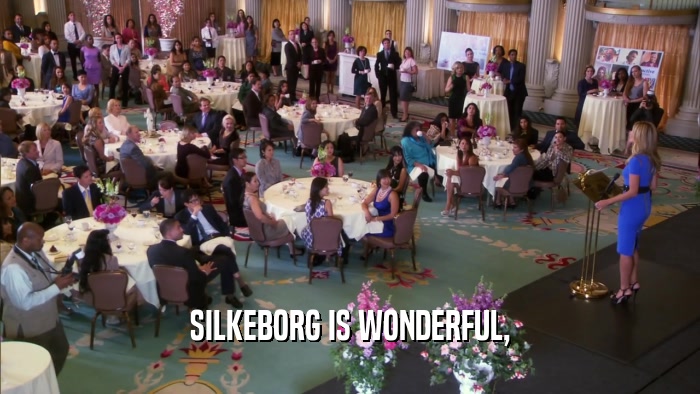 SILKEBORG IS WONDERFUL,  