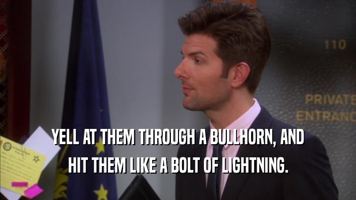 YELL AT THEM THROUGH A BULLHORN, AND
 HIT THEM LIKE A BOLT OF LIGHTNING.
 