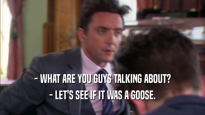 - WHAT ARE YOU GUYS TALKING ABOUT? - LET'S SEE IF IT WAS A GOOSE. 