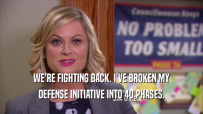 WE'RE FIGHTING BACK. I'VE BROKEN MY DEFENSE INITIATIVE INTO 40 PHASES. 