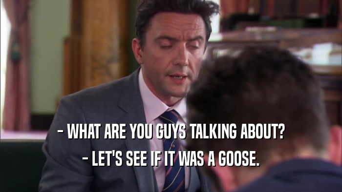- WHAT ARE YOU GUYS TALKING ABOUT? - LET'S SEE IF IT WAS A GOOSE. 