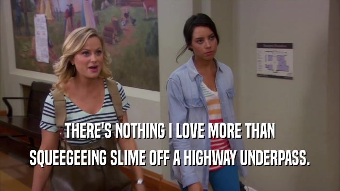 THERE'S NOTHING I LOVE MORE THAN SQUEEGEEING SLIME OFF A HIGHWAY UNDERPASS. 