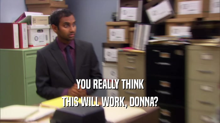 YOU REALLY THINK THIS WILL WORK, DONNA? 