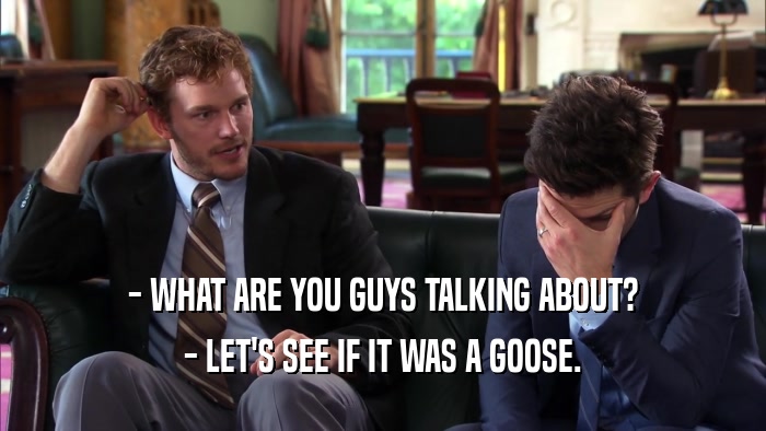 - WHAT ARE YOU GUYS TALKING ABOUT? - LET'S SEE IF IT WAS A GOOSE. 