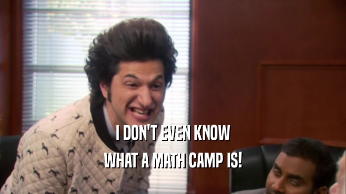 I DON'T EVEN KNOW WHAT A MATH CAMP IS! 