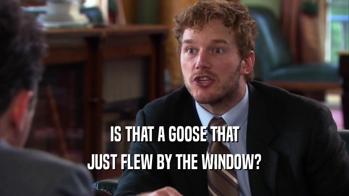 IS THAT A GOOSE THAT JUST FLEW BY THE WINDOW? 
