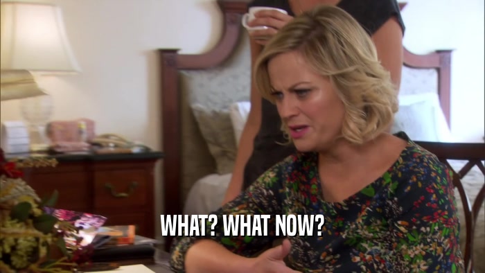 WHAT? WHAT NOW?  