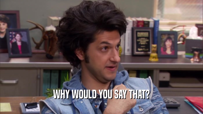 WHY WOULD YOU SAY THAT?  