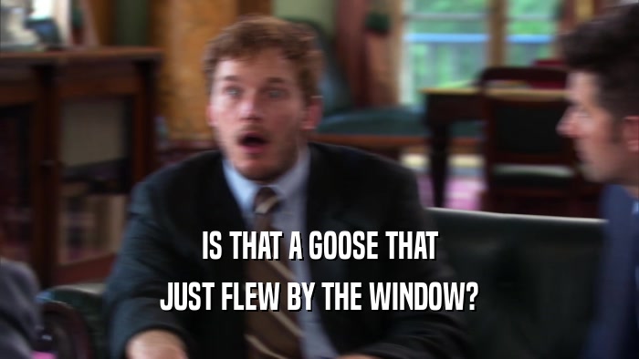 IS THAT A GOOSE THAT JUST FLEW BY THE WINDOW? 
