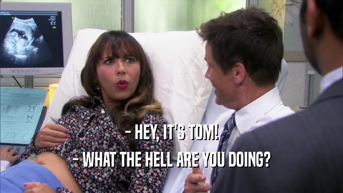 - HEY, IT'S TOM! - WHAT THE HELL ARE YOU DOING? 