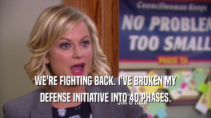 WE'RE FIGHTING BACK. I'VE BROKEN MY DEFENSE INITIATIVE INTO 40 PHASES. 