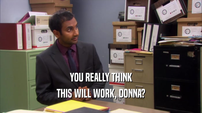 YOU REALLY THINK THIS WILL WORK, DONNA? 