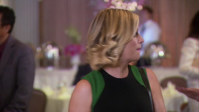 OH, HI. YOU MUST BE LESLIE KNOPE. 