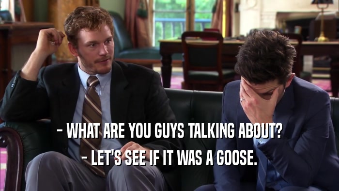 - WHAT ARE YOU GUYS TALKING ABOUT? - LET'S SEE IF IT WAS A GOOSE. 