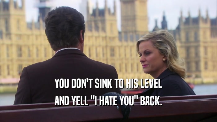YOU DON'T SINK TO HIS LEVEL AND YELL 