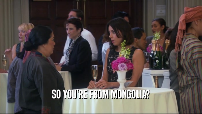 SO YOU'RE FROM MONGOLIA?  
