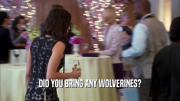 DID YOU BRING ANY WOLVERINES?  
