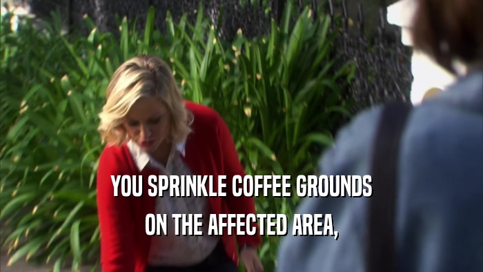 YOU SPRINKLE COFFEE GROUNDS ON THE AFFECTED AREA, 