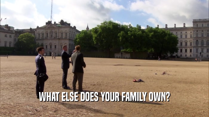 WHAT ELSE DOES YOUR FAMILY OWN?  