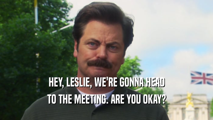 HEY, LESLIE, WE'RE GONNA HEAD TO THE MEETING. ARE YOU OKAY? 