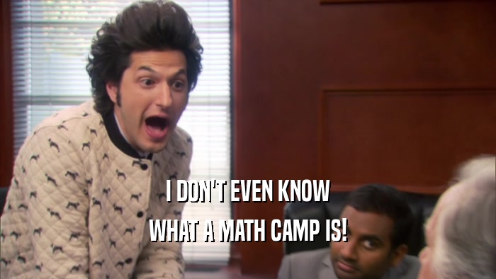 I DON'T EVEN KNOW WHAT A MATH CAMP IS! 