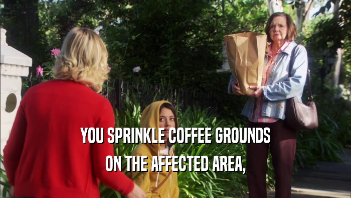 YOU SPRINKLE COFFEE GROUNDS ON THE AFFECTED AREA, 